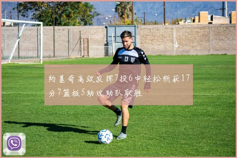 约基奇高效发挥7投6中轻松斩获17分7篮板5助攻助队取胜